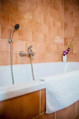 a bathroom with a bath tub with a faucet at Bona Serva in Prague