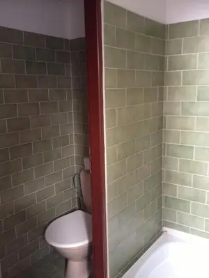 a bathroom with a toilet and a bath tub at Pension Filip in Prague