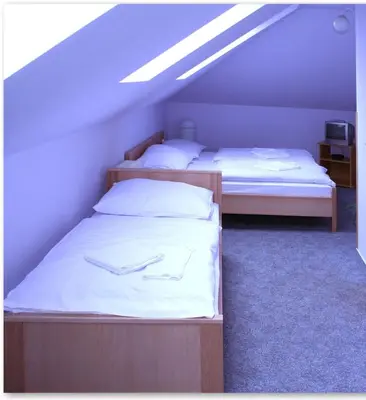 two beds in a room with a attic at Pension Filip in Prague