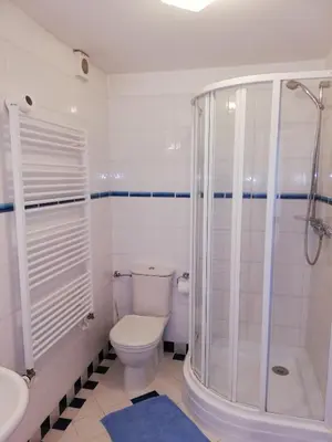 a bathroom with a shower and a toilet and a sink at Pension U kostela in Český Brod