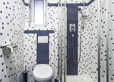 a bathroom with a toilet and a shower with black and white tiles at Penzion Palouček in Prague