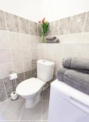 a bathroom with a toilet and a vase of flowers on the wall at Prague Castle Garden Apartment in Prague