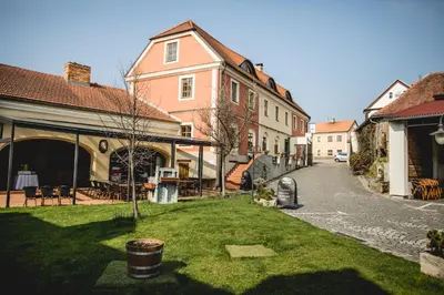 a street in a town with houses and a yard at Hotel Dvur Hoffmeister in Velké Číčovice