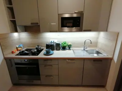 a small kitchen with a sink and a stove at Prima Family Apartments in Prague