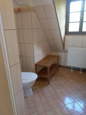 a bathroom with a toilet and a table and a window at Žabonosy Mlýn in Žabonosy