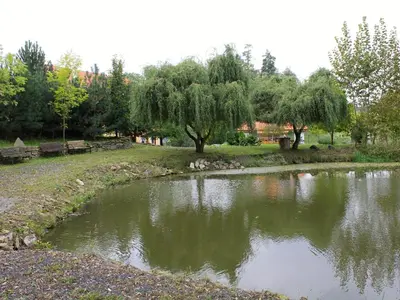 a pond in a park with benches and trees at Žabonosy Mlýn in Žabonosy