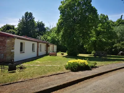 a small white house with a yard and trees at Green Apartments in Luštěnice