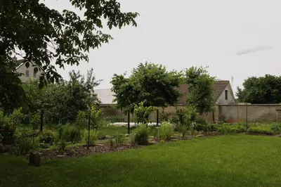 a garden in the backyard of a house at Ubytování na statku in Vědomice
