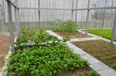 a greenhouse with a bunch of plants in it at Domeček u Prahy in Nupaky