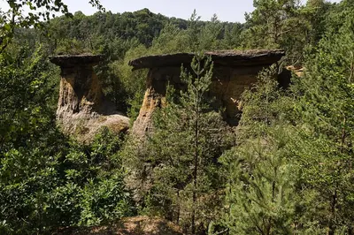 two rock formations in the middle of a forest at Homutův statek in Kokořín