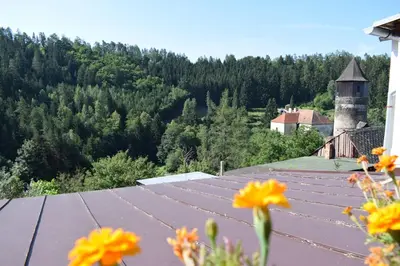 a view from the roof of a house with flowers at Rychta in Rataje nad Sázavou