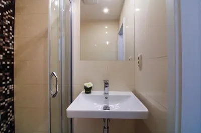 a bathroom with a sink and a shower at Bouquet Apartments in Prague