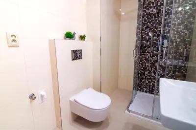 a bathroom with a toilet and a shower at Bouquet Apartments in Prague
