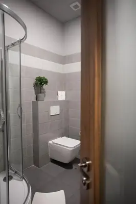 a bathroom with a toilet and a shower with a plant at Penzion Královské lázně in Poděbrady