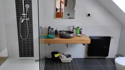 a bathroom counter with a sink and a mirror at Podkroví s koupelnou in Svinařov