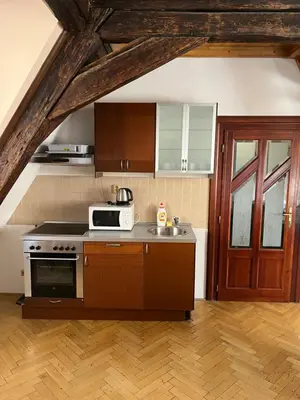 a kitchen with a stove and a microwave at Residence u Vejvodů in Prague
