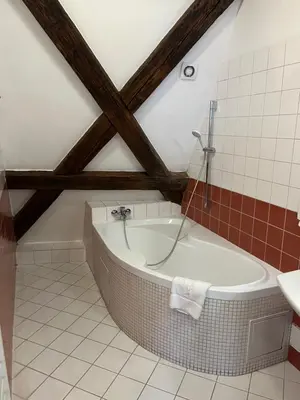 a bathroom with a bath tub and a sink at Residence u Vejvodů in Prague