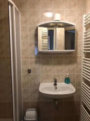 a bathroom with a sink and a mirror at Apartment Trojska in Prague