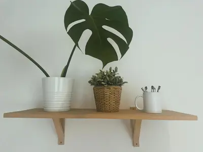 a shelf with two potted plants on it at Apt 100 Prague in Prague