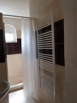 a bathroom with a shower curtain and a toilet at Penzion Cerhenice in Cerhenice