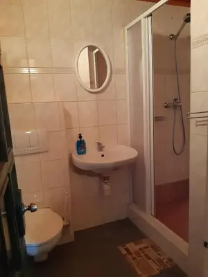a bathroom with a toilet and a sink and a shower at Penzion Cerhenice in Cerhenice