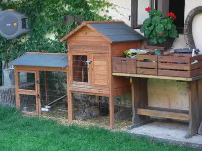 a wooden bird house with a chicken in a cage at Farma Zahradnice in Olbramovice Ves