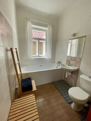 a bathroom with a tub and a toilet and a sink at Šafářův statek Milovice in Milovice