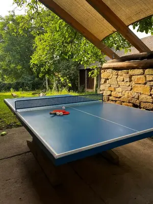 a blue ping pong table with a ball on it at Šafářův statek Milovice in Milovice