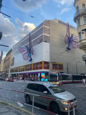a car parked in front of a building with butterflies on it at Apartmán Kaiser in Prague