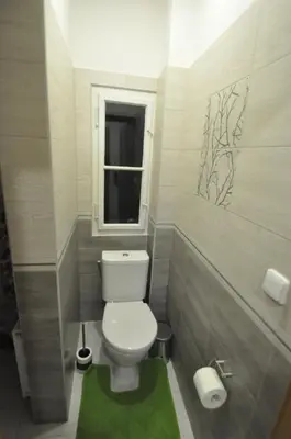 a bathroom with a toilet with a window and a green rug at Jiřina Appartments in Prague