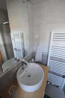 a bathroom with a white sink and a mirror at Jiřina Appartments in Prague
