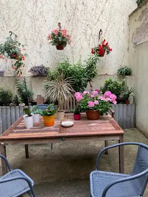 a wooden table with potted plants on it at Aparthotel City 5 in Prague