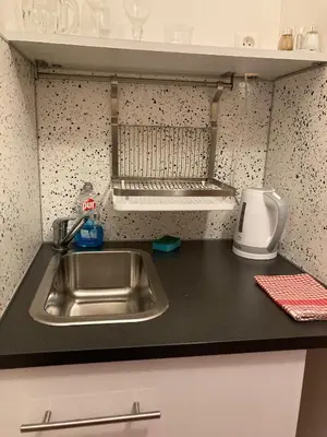 a kitchen counter with a sink in a kitchen at Aparthotel City 5 in Prague
