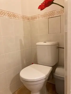 a bathroom with a toilet and a red flower on the wall at Aparthotel City 5 in Prague