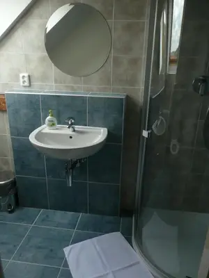 a bathroom with a sink and a shower at Penzion Venkoff in Sázava