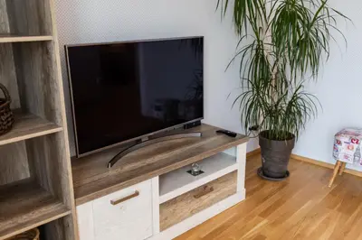 a television on a wooden stand in a living room with two plants at Rezidence Hadovitá in Prague