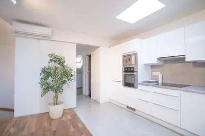a kitchen with white cabinets and a potted plant at Naru house 9 in Prague