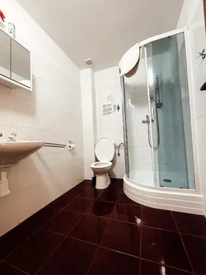 a bathroom with a shower and a toilet and a sink at Penzion Na Vošverku in Čelákovice