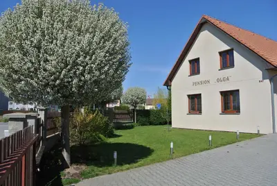 a white house with a tree in the yard at Pension Olga in Klecany
