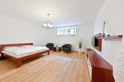 a bedroom with a bed and a tv in it at Penzion Linhart in Poděbrady