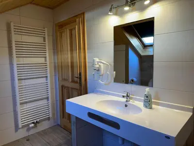 a bathroom with a white sink and a mirror at Penzion Linhart in Poděbrady