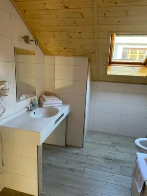 a bathroom with a sink and a mirror at Penzion Linhart in Poděbrady