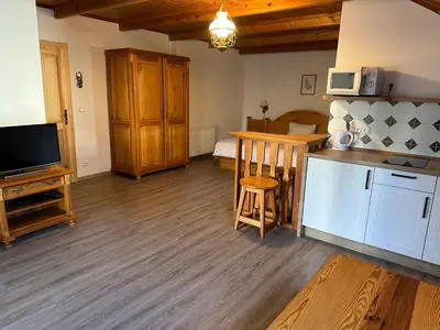 a room with a kitchen and a living room at Penzion Linhart in Poděbrady