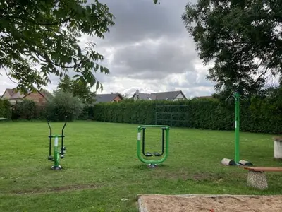 two green golf carts in a grassy yard at Adela´s Czech Village House in Všejany