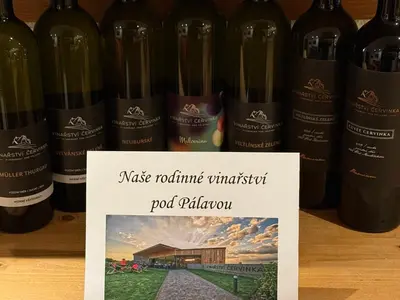 a bunch of wine bottles on a shelf with a sign at HOTEL DIANA apartments in Prague