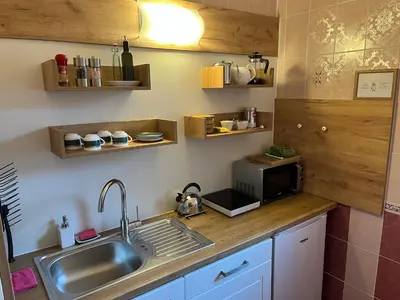 a kitchen with a sink and a microwave at HOTEL DIANA apartments in Prague
