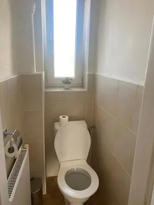 a small bathroom with a toilet and a window at Vila Malvazinky in Prague
