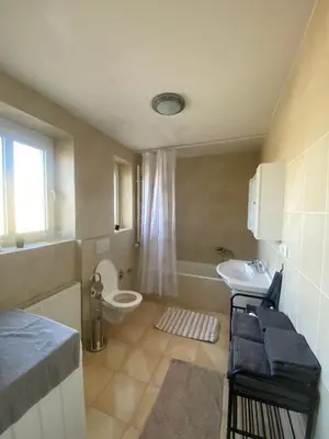 a bathroom with a toilet and a sink at Vila Malvazinky in Prague