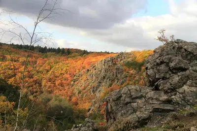 a view of a mountain with fall foliage at Cozy room at metro station, private bathroom, 9minutes oldtown, 15minutes airport, WiFi in Prague