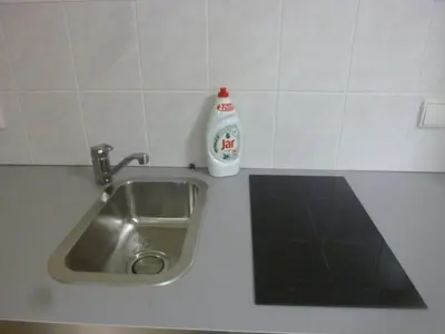 a kitchen counter with a sink and a bottle of detergent at Apartmán VAN NG in Prague